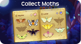 Collect Moths