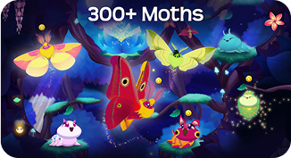 300+ Moths