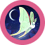 Flutter Starlight Logo